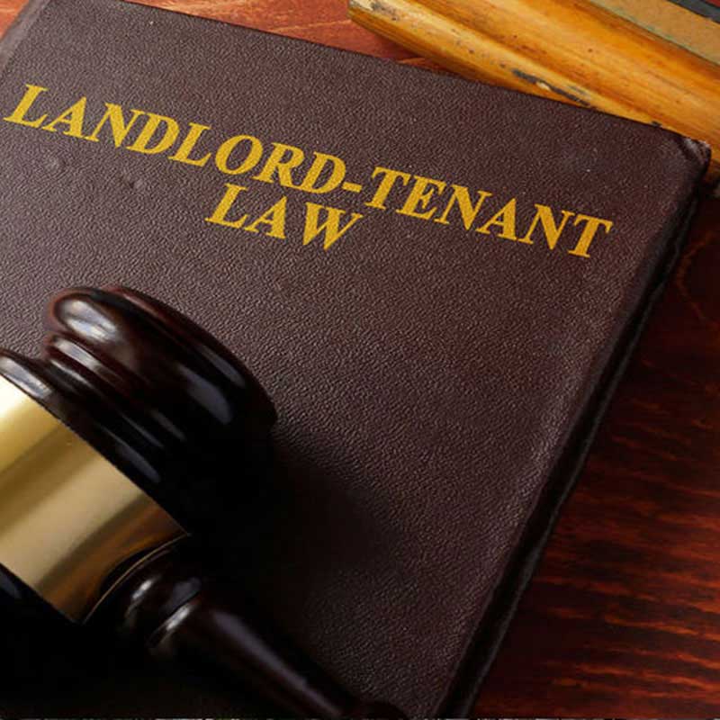 Top 10 Landlord Tenant Lawyer in Pimpri Chinchwad